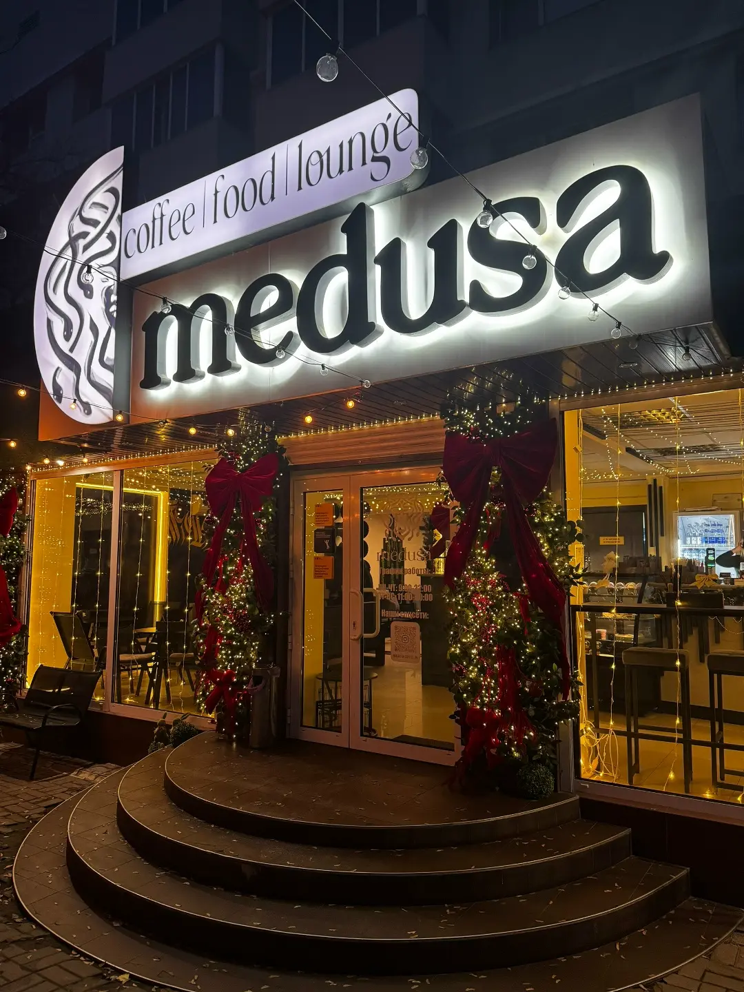 «MEDUSA»-1